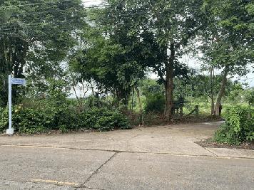 ขาย!!! ที่ดินสวย ทำเลศักยภาพ ใจกลางเมือง..หลังค่ายตากสิน..เนื้อที่ 14 ไร่เศษ โทร 092-5635533